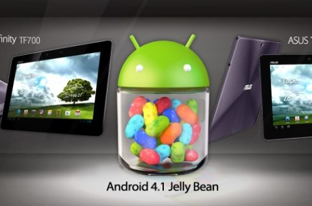 Asus aktualizuje tablety do Androida 4.1 Jelly Bean