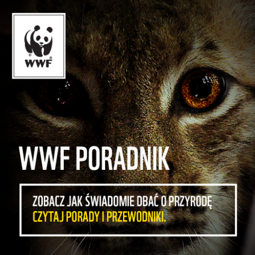 WWF Polska edukuje Polaków na temat ekologii
