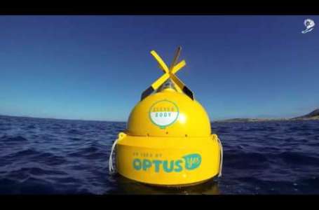 Clever Buoy Case Study