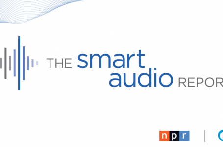 The Smart Audio Report (część II). Kto i co najczęściej kupuje przez inteligentne głośniki