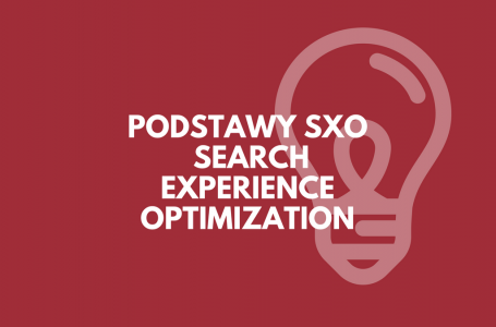 Podstawy SXO – jak wpłynąć na efekty kampanii Google Ads i pozycjonowania