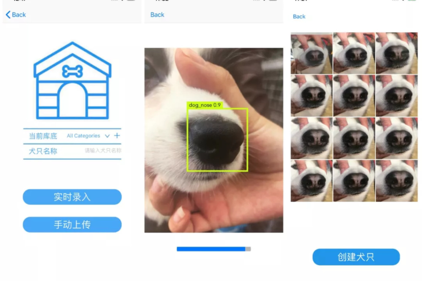 AI pozwoli zidentyfikować psa po jego… nosie